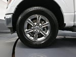 2024 F-150 Thumbnail 17