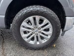 2024 F-150 Thumbnail 10