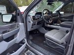 2024 F-150 Thumbnail 11