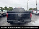 2024 F-150 Thumbnail 9