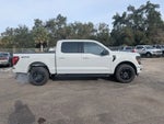 2024 F-150 Thumbnail 4