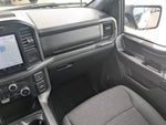 2024 F-150 Thumbnail 18
