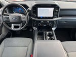 2025 F-150 Thumbnail 3