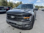 2025 F-150 Thumbnail 1