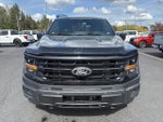 2025 F-150 Thumbnail 3