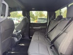 2025 F-150 Thumbnail 13