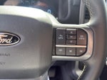 2025 F-150 Thumbnail 17