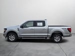 2025 F-150 Thumbnail 3