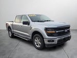 2025 F-150 Thumbnail 8