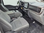 2025 F-150 Thumbnail 18