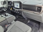 2025 F-150 Thumbnail 19