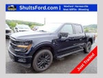 2025 F-150 Thumbnail 1