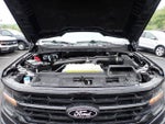 2025 F-150 Thumbnail 16