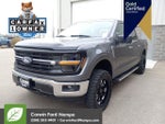 2025 F-150 Thumbnail 9