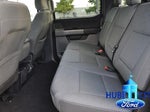 2025 F-150 Thumbnail 12