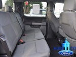 2025 F-150 Thumbnail 14