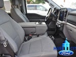 2025 F-150 Thumbnail 16