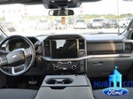 2025 F-150 Thumbnail 18