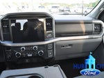 2025 F-150 Thumbnail 20