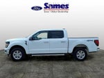 2025 F-150 Thumbnail 6