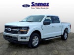 2025 F-150 Thumbnail 7