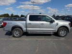 2025 F-150 Thumbnail 2