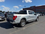 2025 F-150 Thumbnail 3