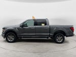 2025 F-150 Thumbnail 2
