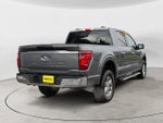 2025 F-150 Thumbnail 5