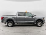 2025 F-150 Thumbnail 6