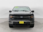 2025 F-150 Thumbnail 8
