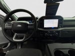 2025 F-150 Thumbnail 10