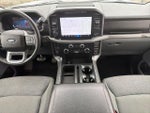 2024 F-150 Thumbnail 13