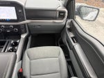 2024 F-150 Thumbnail 14