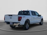 2024 F-150 Thumbnail 5