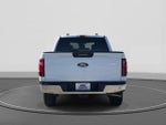 2024 F-150 Thumbnail 6