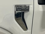 2024 F-150 Thumbnail 19