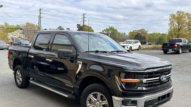 Preowned 2024 Ford F-150 XLT for Sale