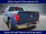 2024 F-150 Thumbnail 3