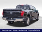 2024 F-150 Thumbnail 10