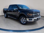 2024 F-150 Thumbnail 3