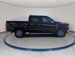 2024 F-150 Thumbnail 4