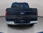 2024 F-150 Thumbnail 6