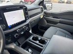 2024 F-150 Thumbnail 13