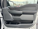 2024 F-150 Thumbnail 14