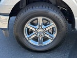 2024 F-150 Thumbnail 8