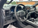 2024 F-150 Thumbnail 7