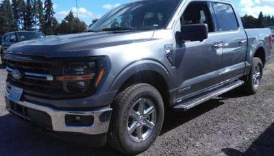 2024 Ford F-150 4X4 XLT 4DR Supercrew 6.5 FT. SB