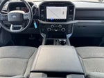 2024 F-150 Thumbnail 6