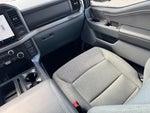 2024 F-150 Thumbnail 7